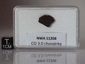 NWA 11208 (CO3.0) - 0.57g part slice