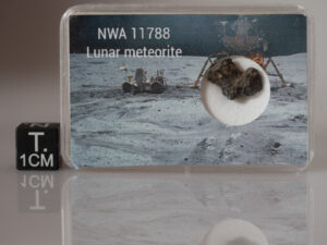 NWA 11788 (lunar) - 0.613g fragment