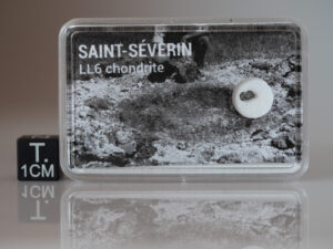 Saint-Séverin (LL6) - fragment nr 31