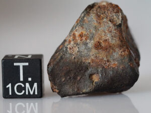 SAU 001 (L5) - 15.23g individual