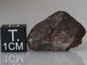 SAU 001 (L5) - 8.23g individual