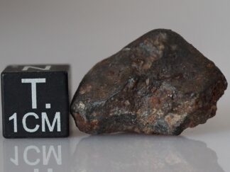 SAU 001 (L5) - 8.23g individual