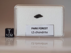 Park Forest (L5) - 0.088g fragment