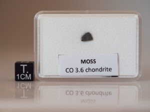 Moss (CO 3.6) - 0.100g part slice