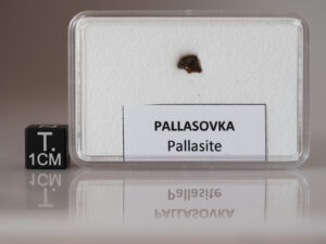 Pallasovka (pallasite) - fragment