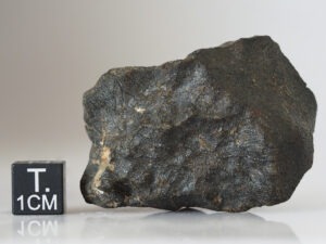 Camel Donga (eucrite) - 61g individual
