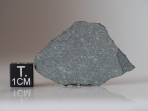NWA 12333 (R5) - 3.48g slice
