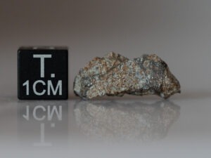 Peekskill (H6) - 2.839g part slice