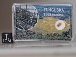 Tunguska wood - fragment