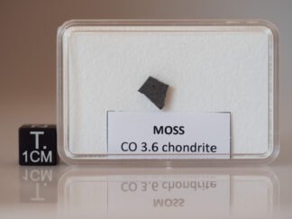 Moss (CO 3.6) - 0.202g part slice