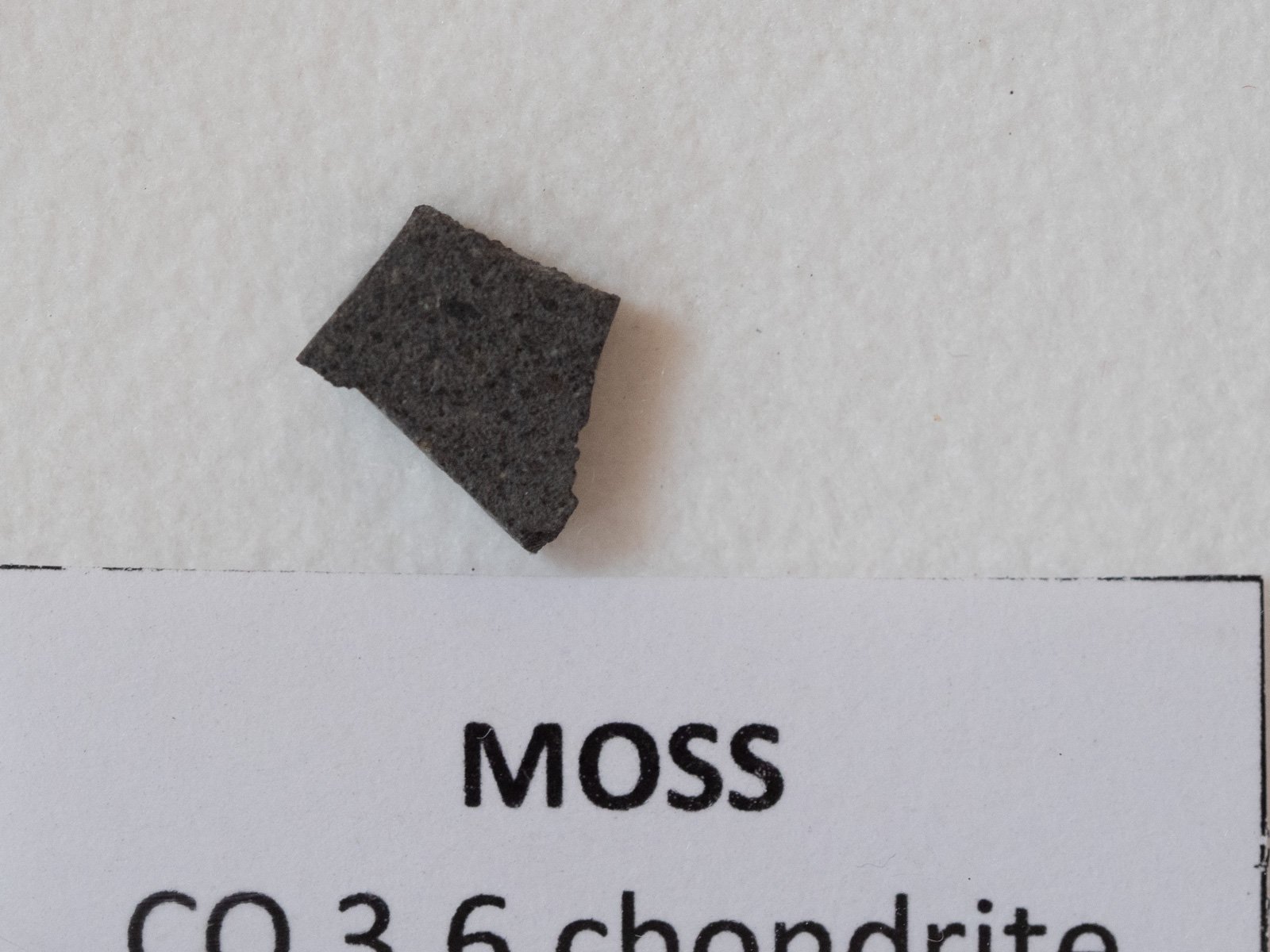 Moss (CO 3.6) - 0.202g part slice - Image 2