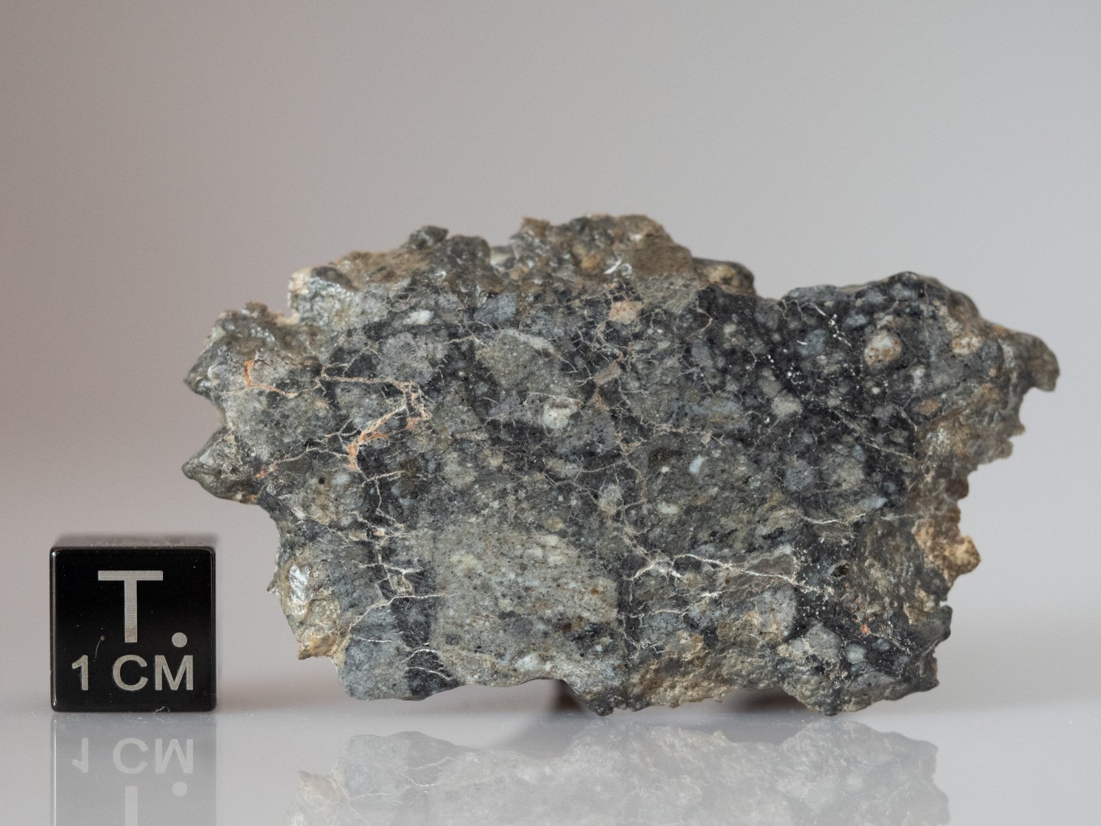 NWA 13930 (frag. breccia) - 5.9g slice