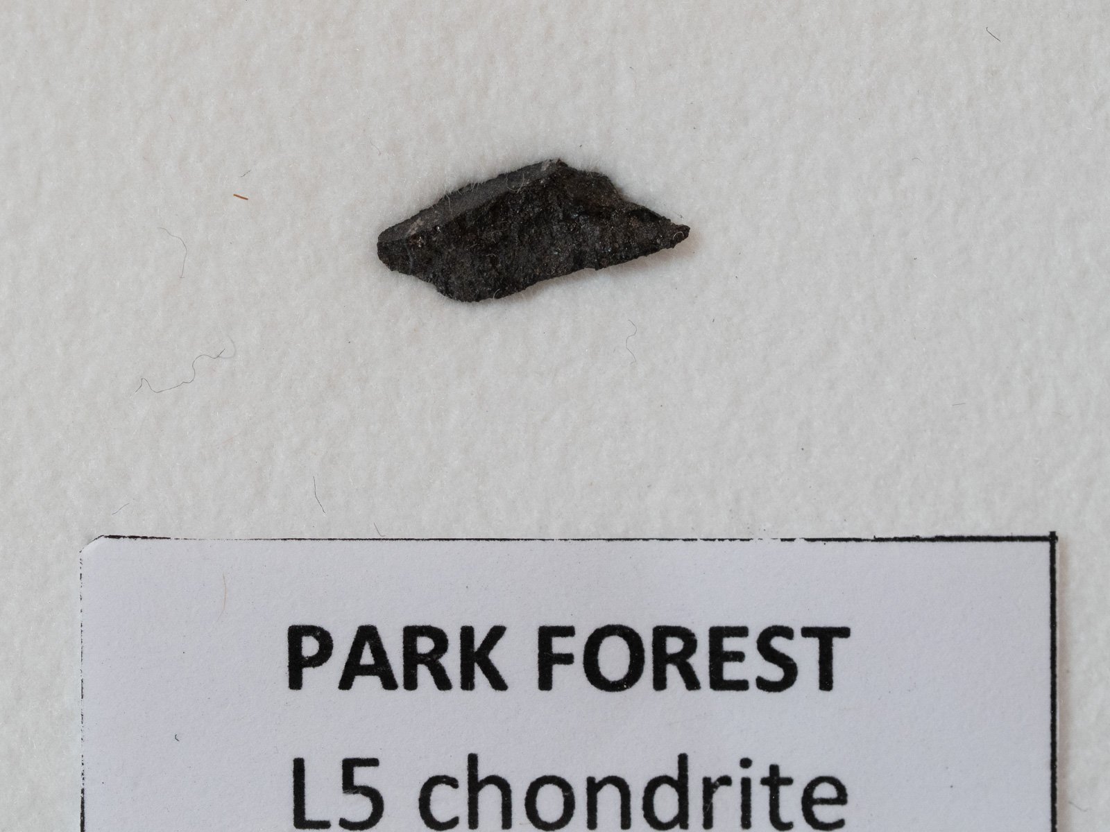 Park Forest (L5) - 0.088g part slice - Image 2