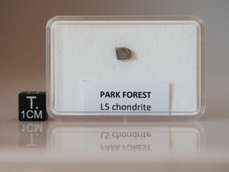 Park Forest (L5) - 0.176g part slice