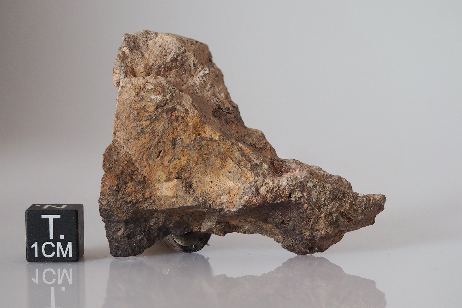 Babaudus (impactite) - 27.50g fragment - Image 2
