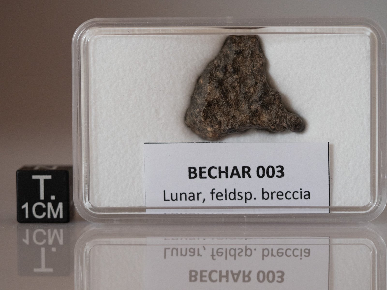 Bechar 003 (lunar) - 2.608 g - Image 3