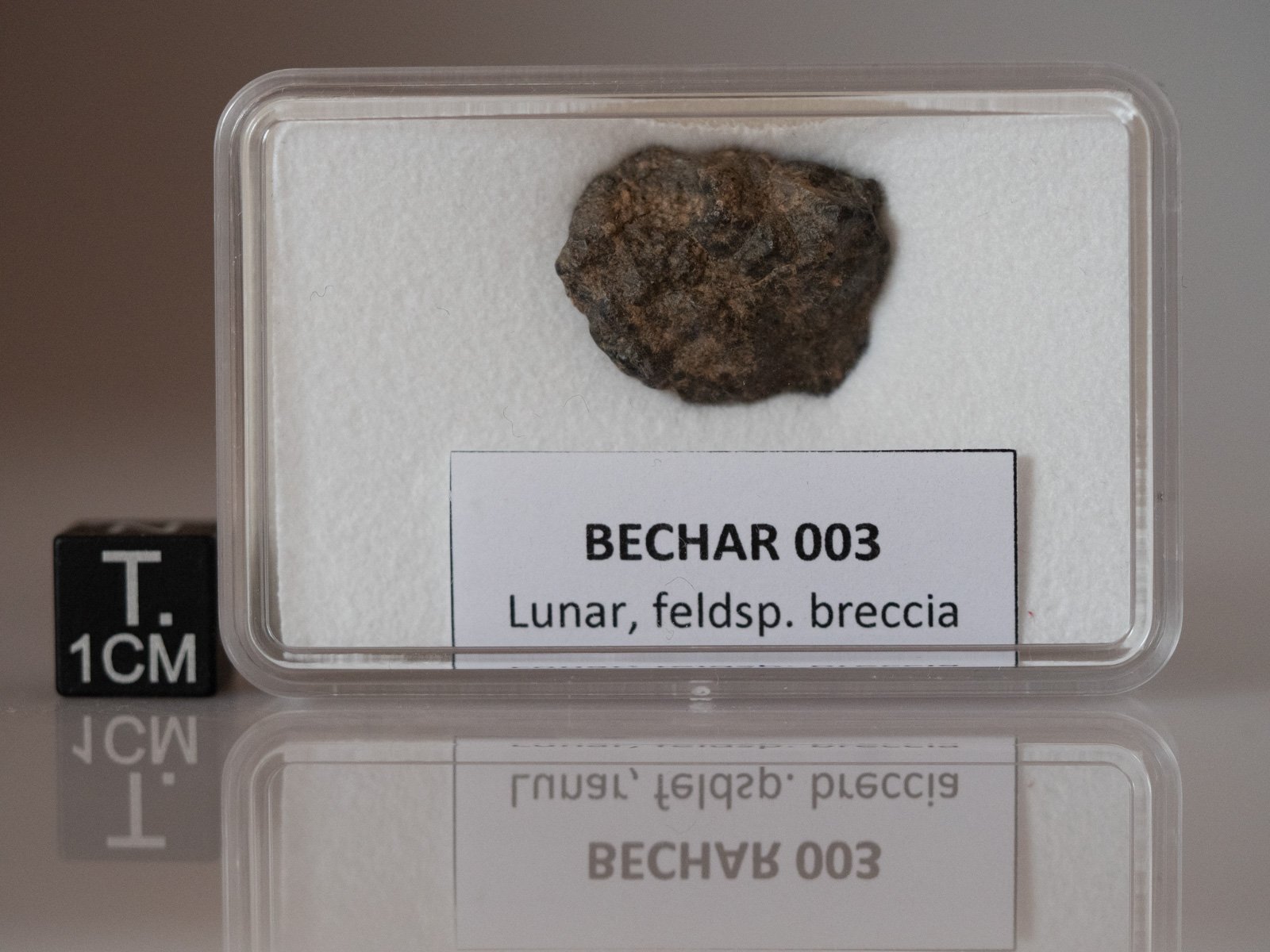 Bechar 003 (lunar) - 2.618g - Image 3