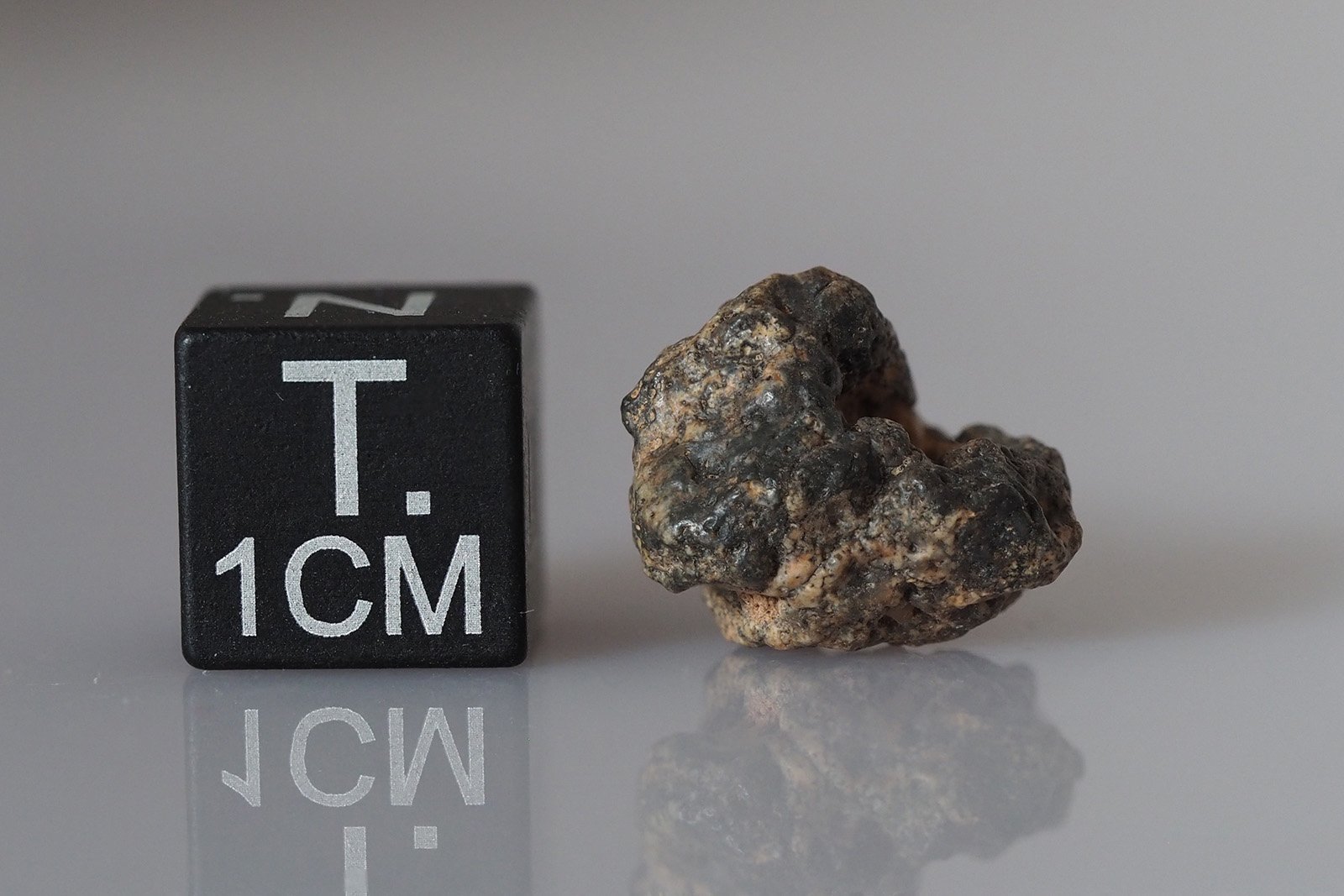 Bechar 006 (lunar) - 1.52g - Image 3