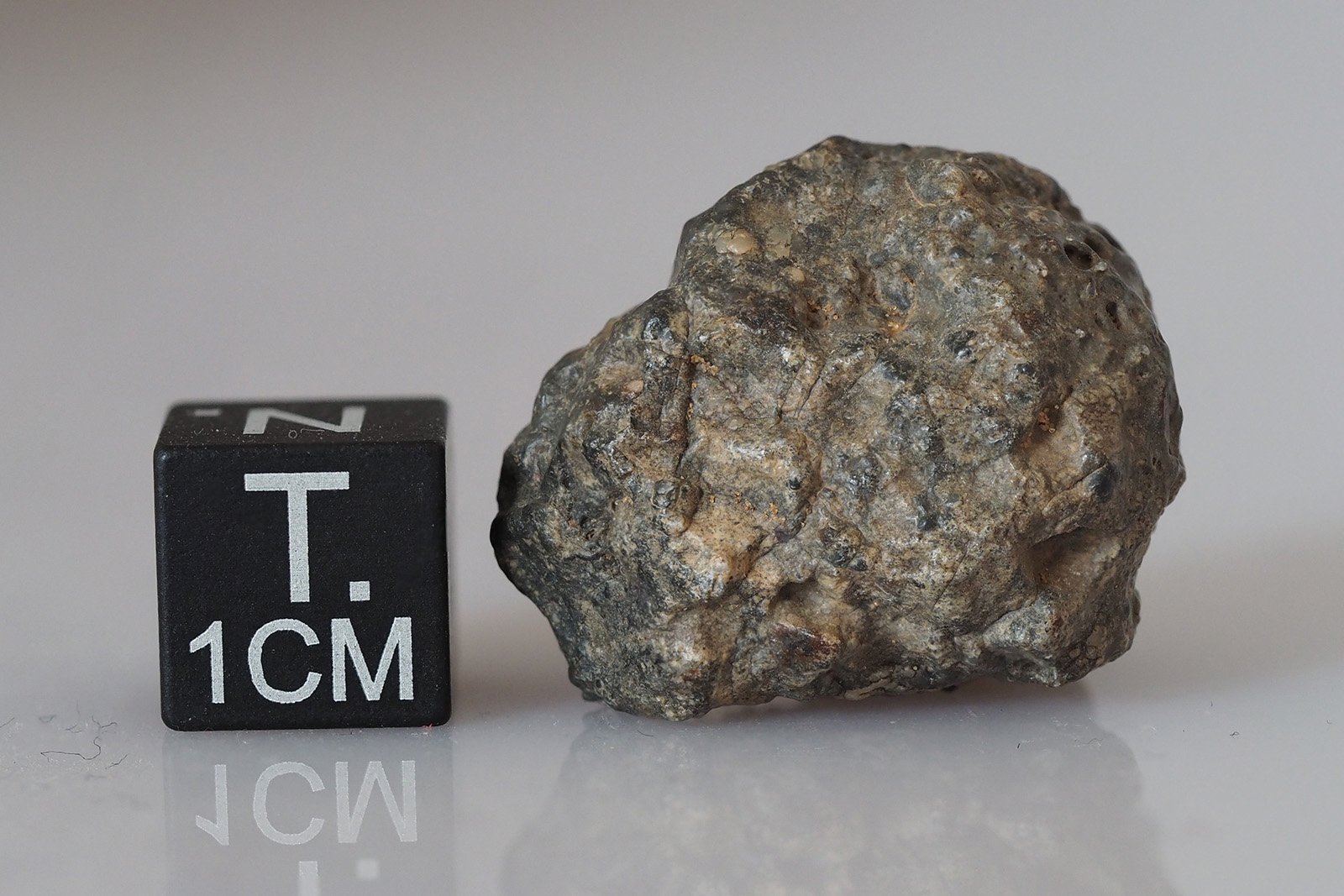 Bechar 006 (lunar) - 10.05g - Image 3