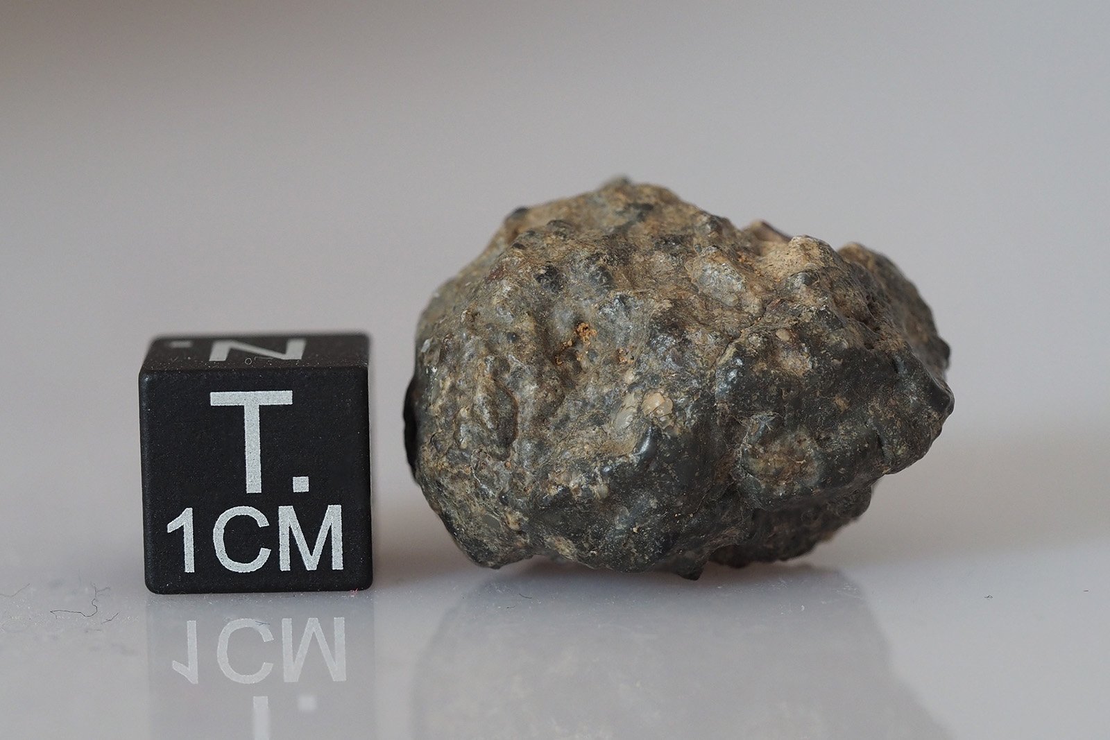 Bechar 006 (lunar) - 10.05g - Image 2