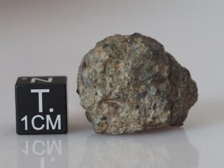 Bechar 006 (lunar) - 10.05g