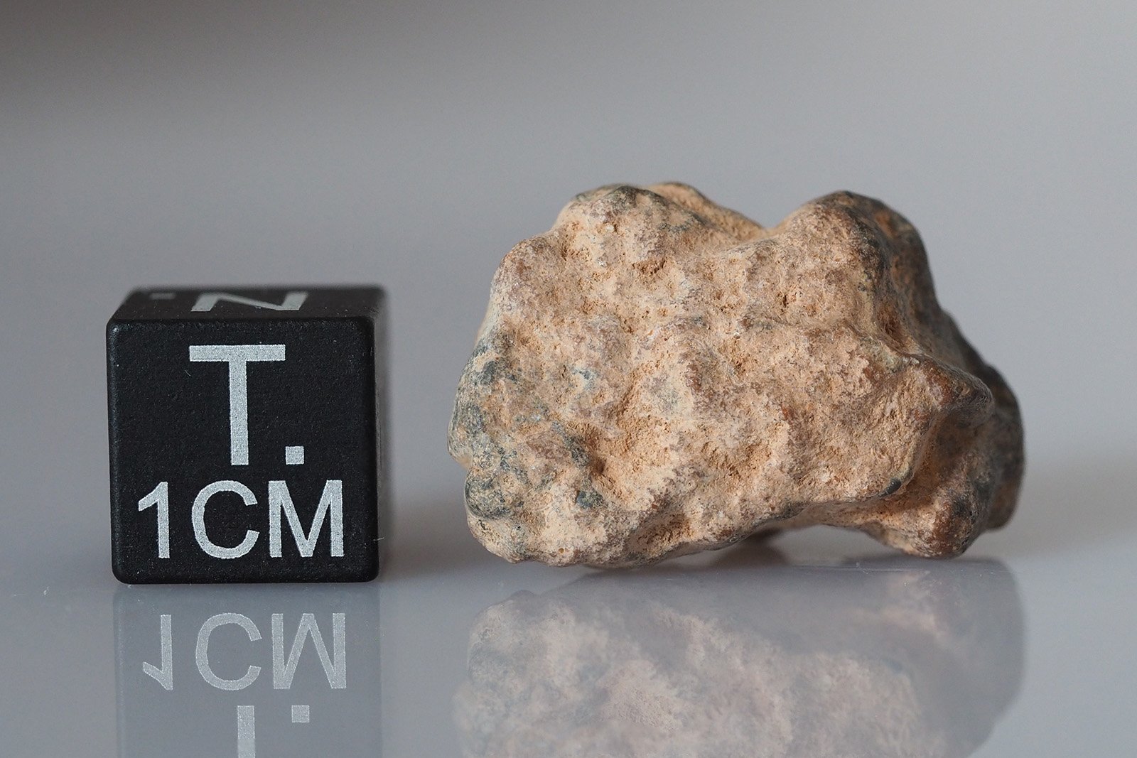 Bechar 006 (lunar) - 4.56g - Image 2