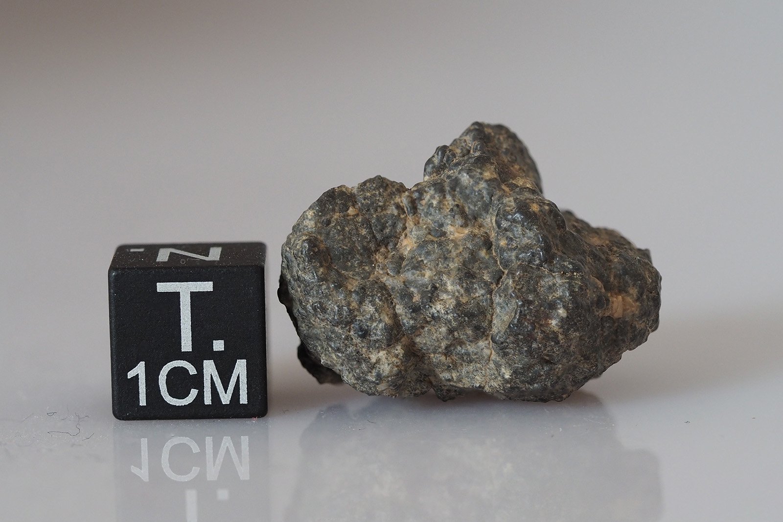 Bechar 006 (lunar) - 9.89g - Image 2