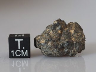 Bechar 006 (lunar) - 9.89g