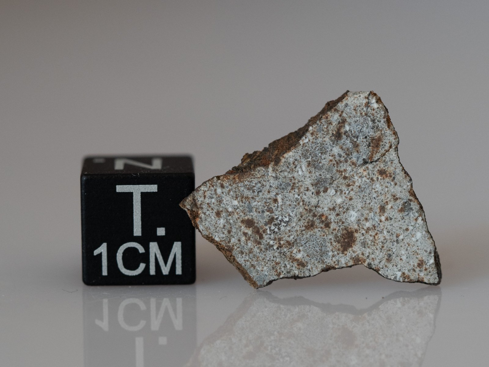 Camel Donga (eucrite) - 1.16g - Image 2