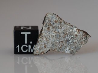 Camel Donga (eucrite) - 1.16g