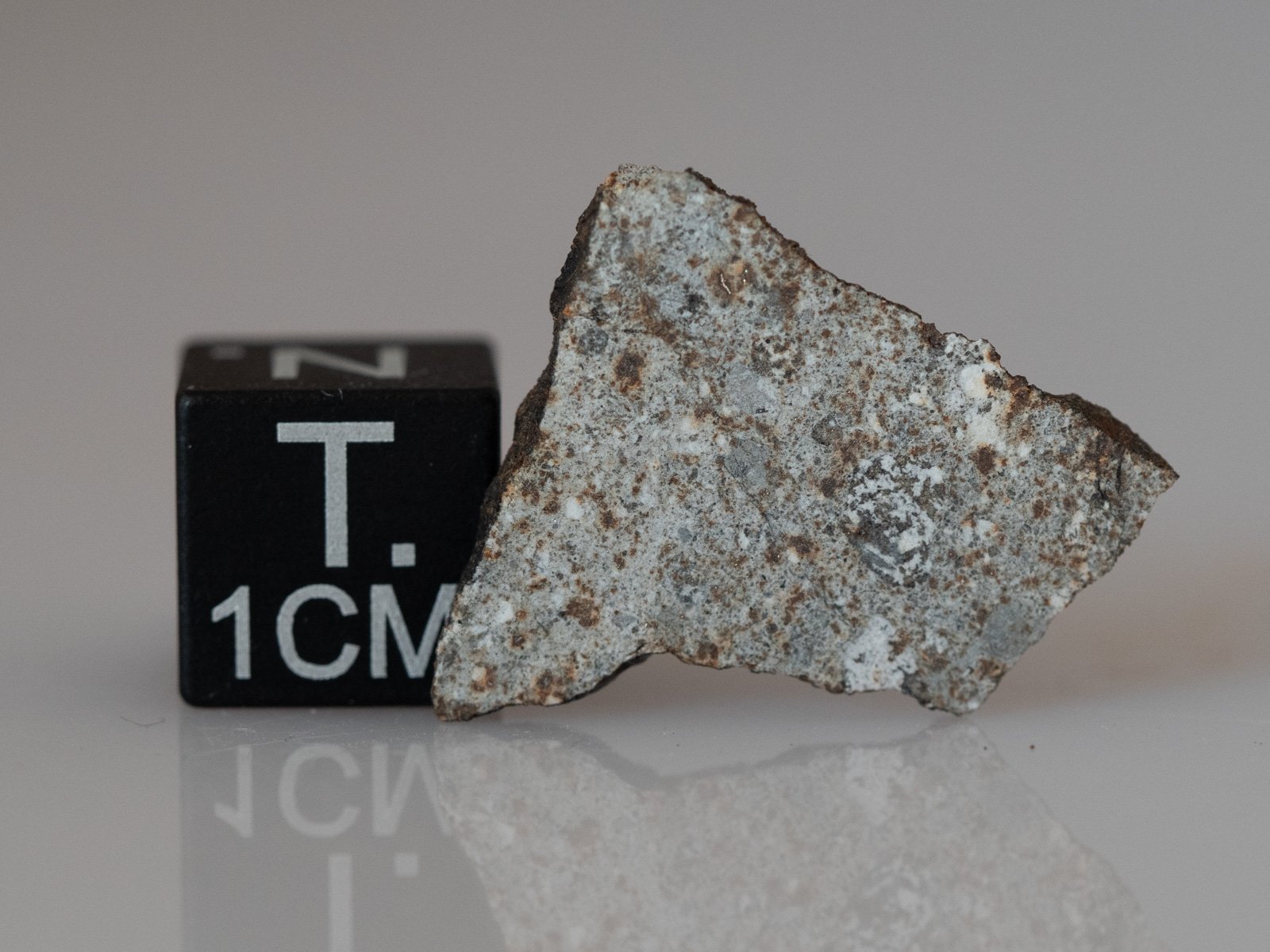 Camel Donga (eucrite) - 1.16g