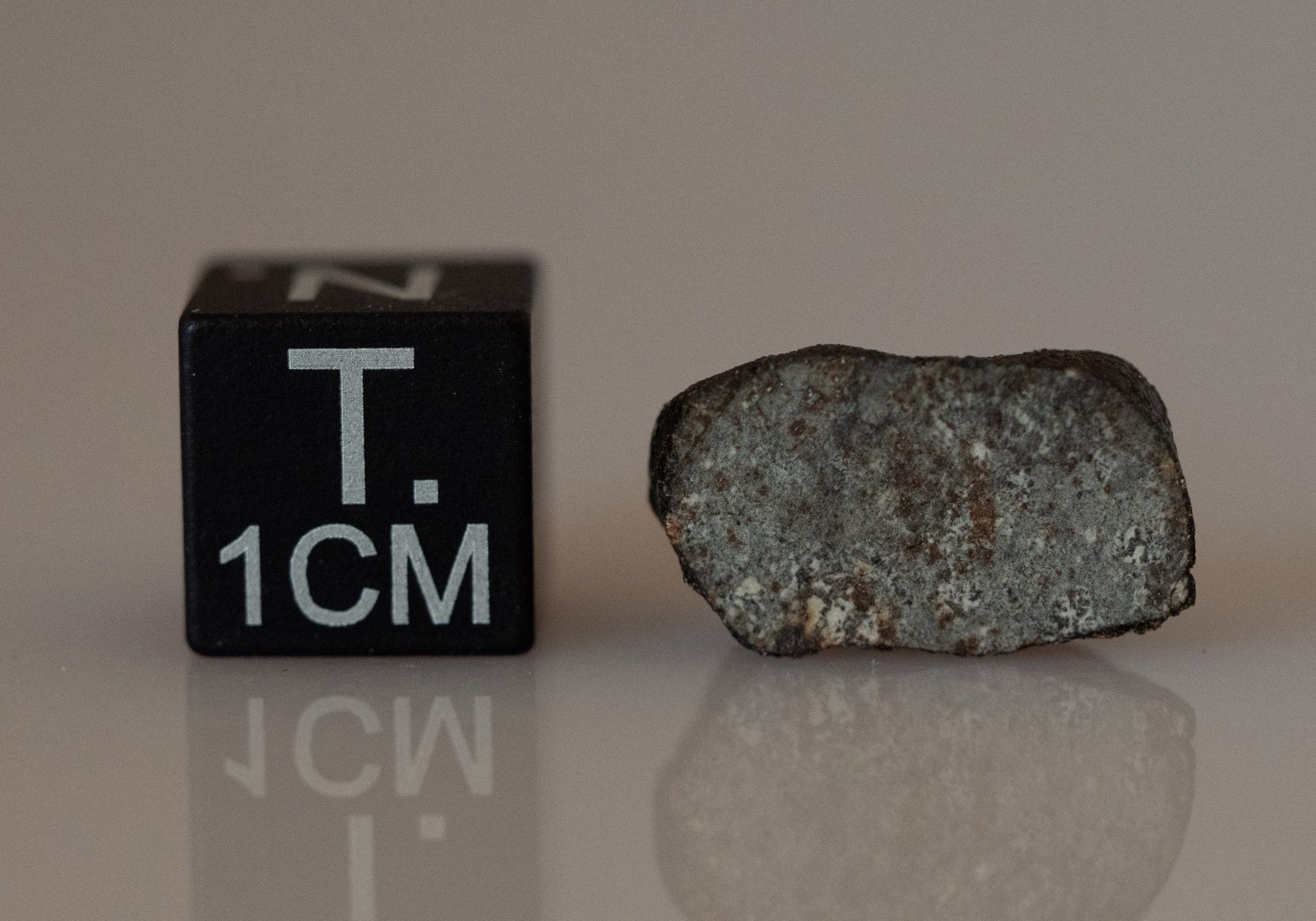 Camel Donga (eucrite) - 1.40g - Image 2