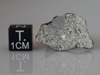 Camel Donga (eucrite) - 1.47g