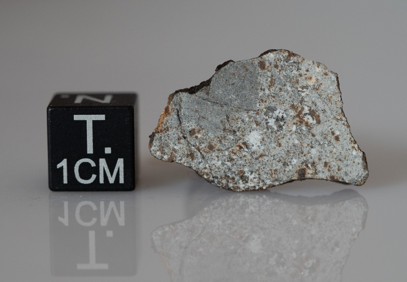 Camel Donga (eucrite) - 1.47g