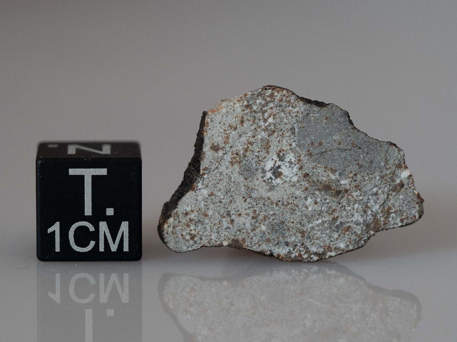 Camel Donga (eucrite) - 1.47g - Image 2