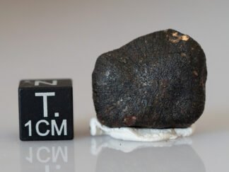 Camel Donga (eucrite) - 4.62g