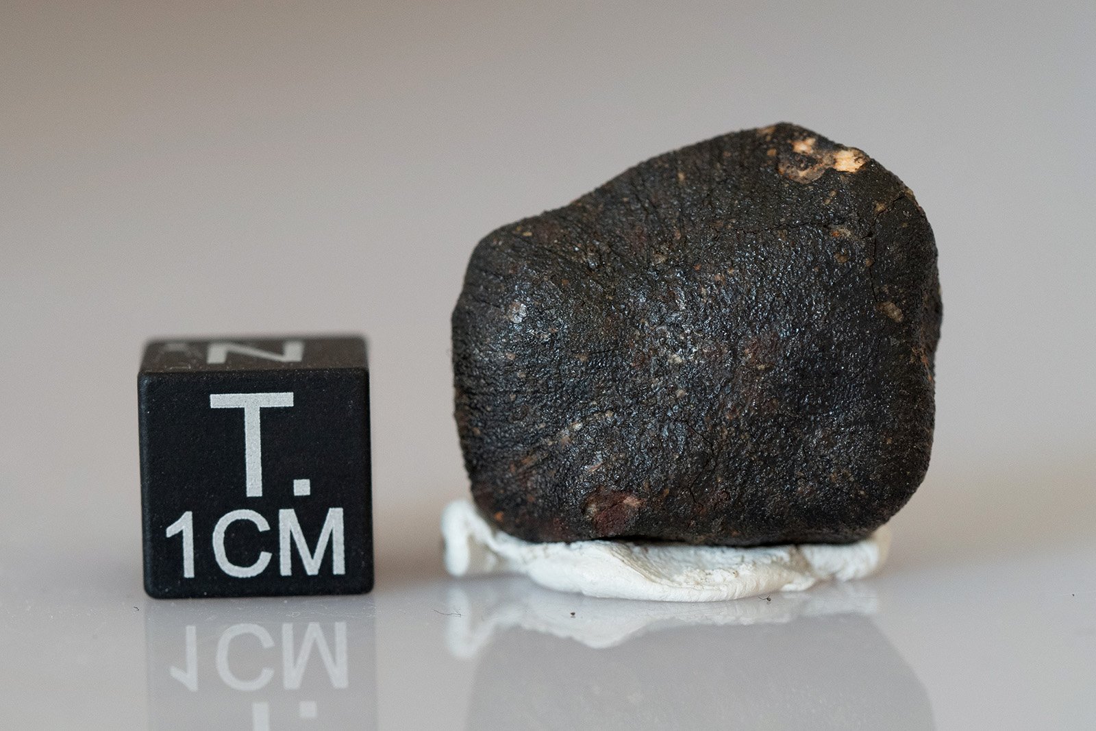 Camel Donga (eucrite) - 4.62g