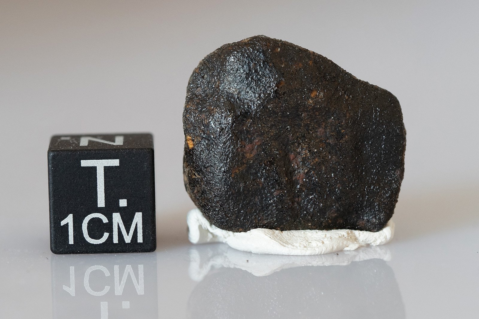 Camel Donga (eucrite) - 4.62g - Image 3