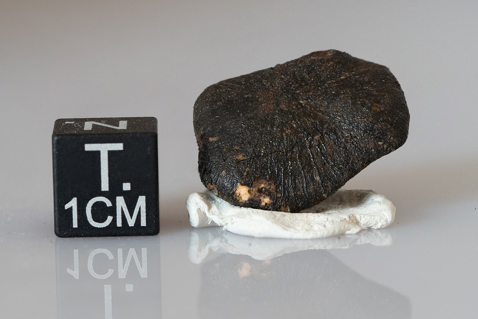 Camel Donga (eucrite) - 4.62g - Image 2