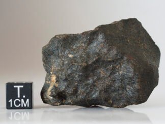 Camel Donga (eucrite) - 61g