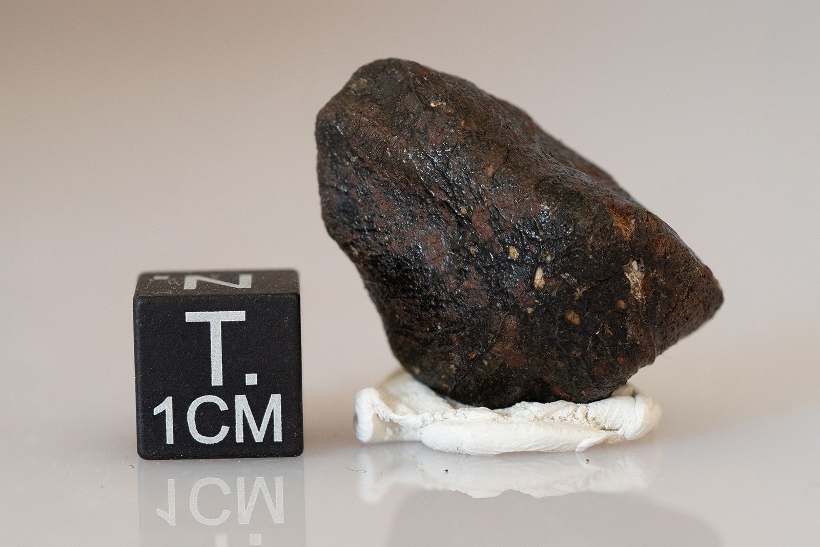 Camel Donga (eucrite) - 7.74g - Image 3