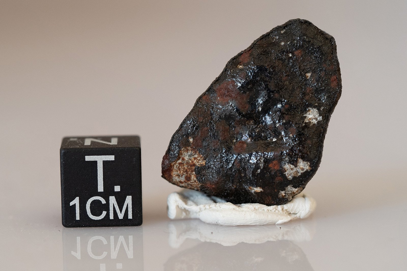 Camel Donga (eucrite) - 7.74g - Image 2