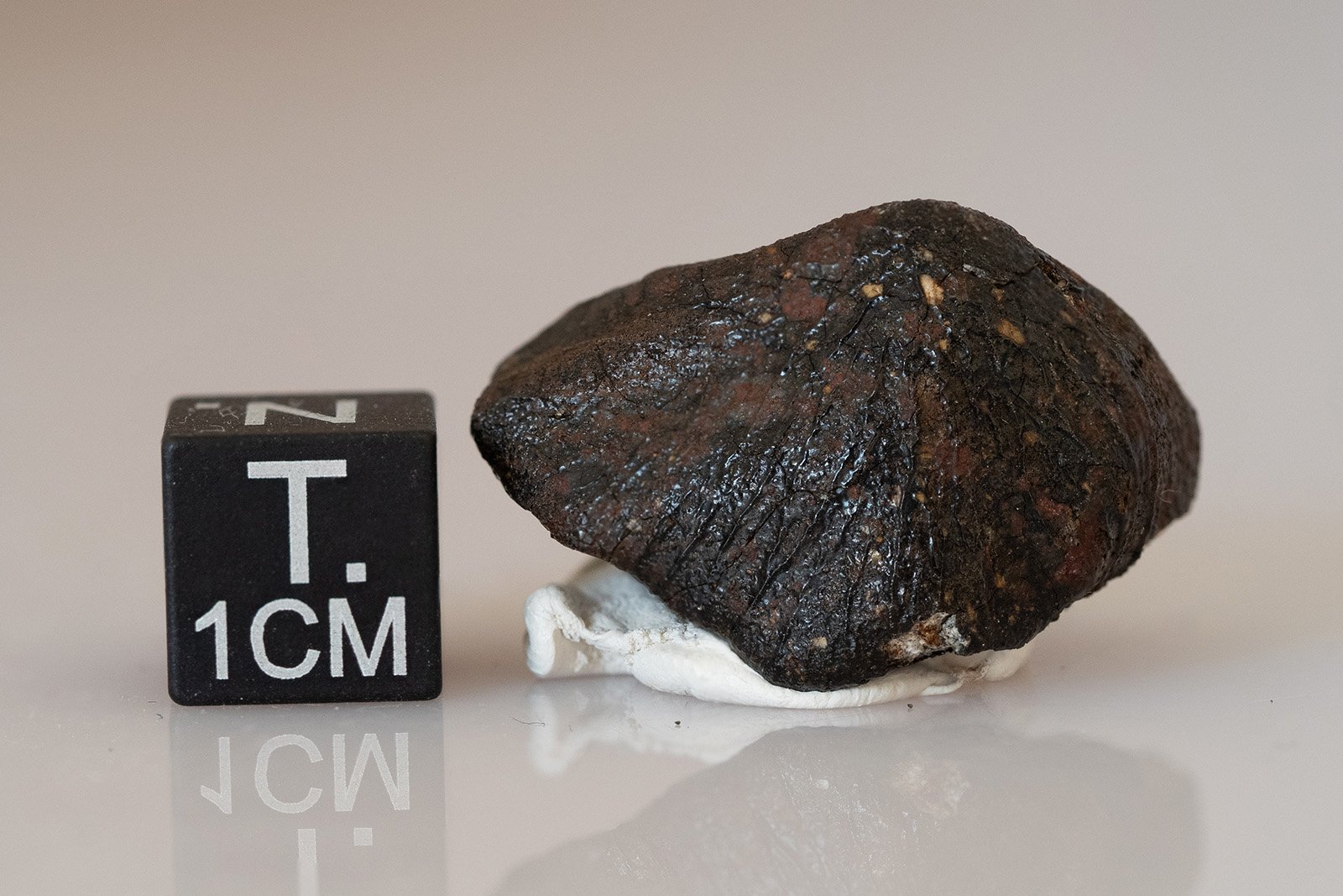 Camel Donga (eucrite) - 7.74g