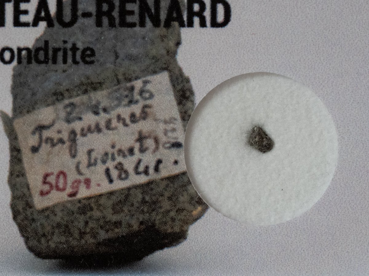 Château-Renard (L6) - fragment nr 1 - Image 2