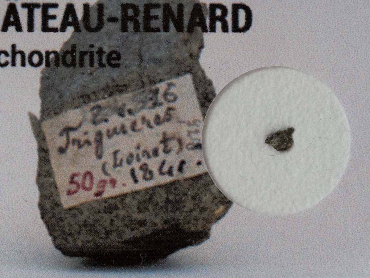 Château-Renard (L6) - fragment nr 2 - Image 2