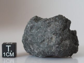 Chelyabinsk  (LL5) - 82.6g IMB specimen
