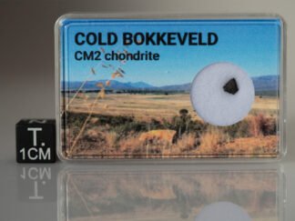 Cold Bokkeveld (CM2) - 0.019g fragment