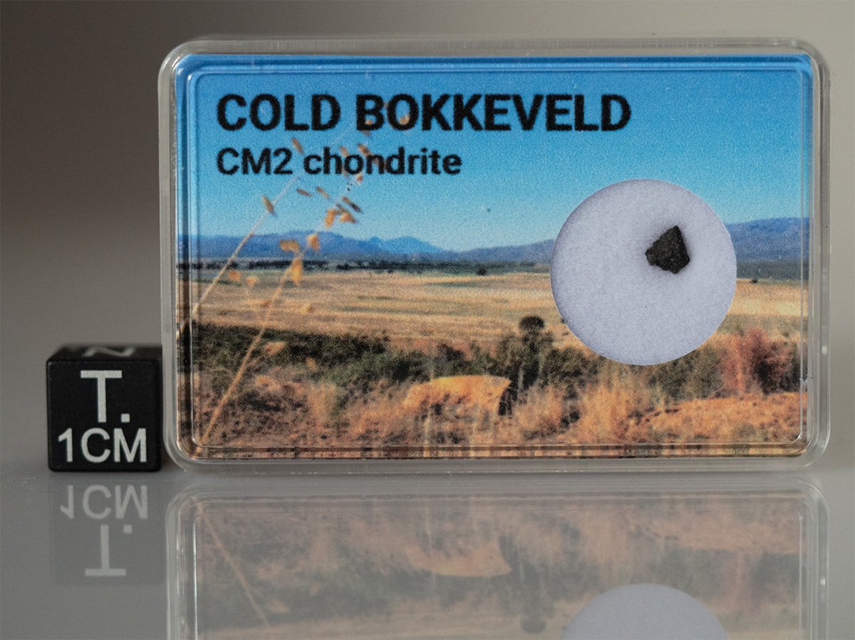Cold Bokkeveld (CM2) - 0.019g fragment