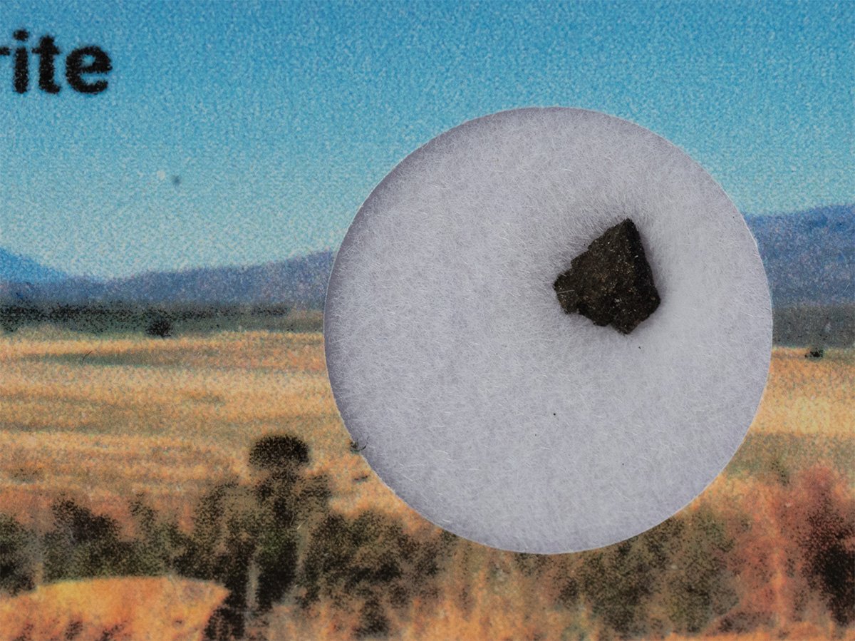 Cold Bokkeveld (CM2) - 0.019g fragment - Image 2