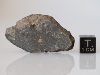 Dhofar 1768 (diogenite) - 15.74g endcut